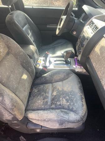 Image mold infested car