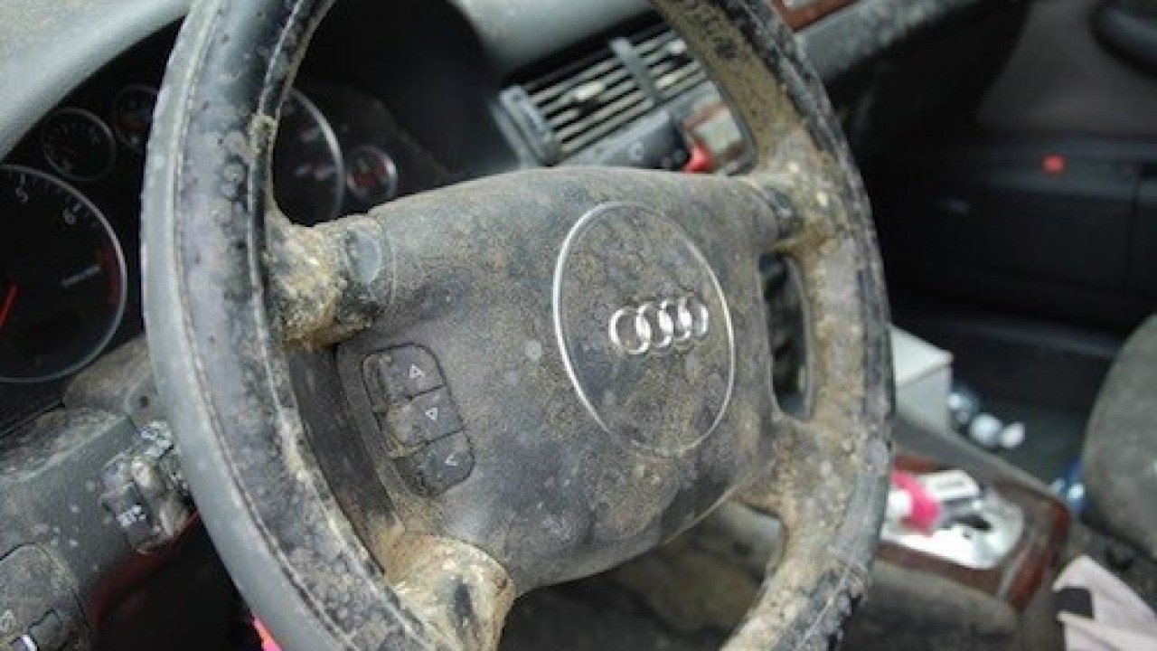 Photo of moldy steering wheel