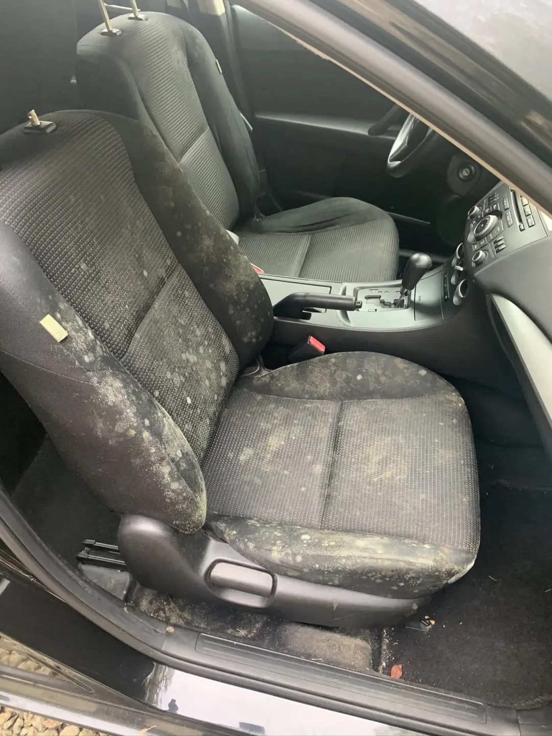 Car mold removal