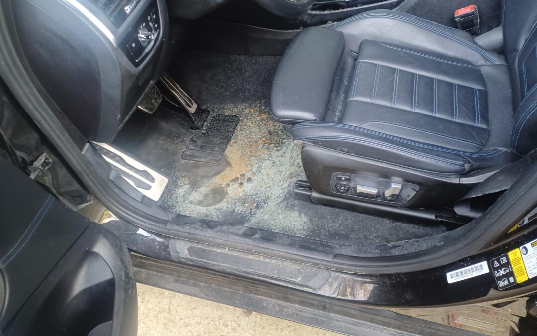 image showing dangers of car mold on car seat and carpet