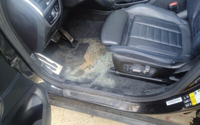 The dangers of car mold and why it should be taken seriously.