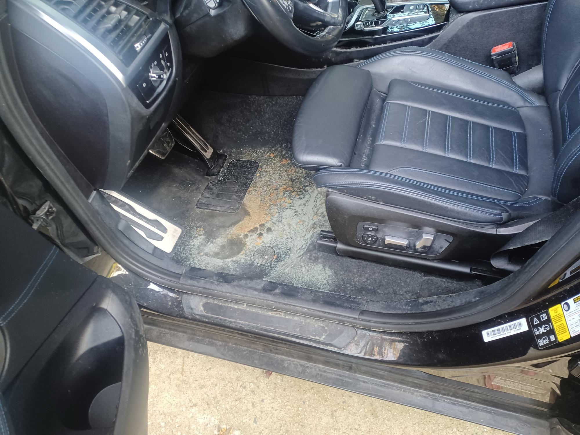 image showing dangers of car mold on car seat and carpet