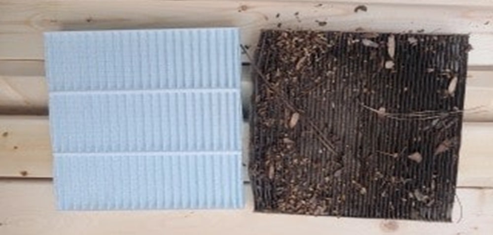 Photo of dirty vs clean cabin air filter