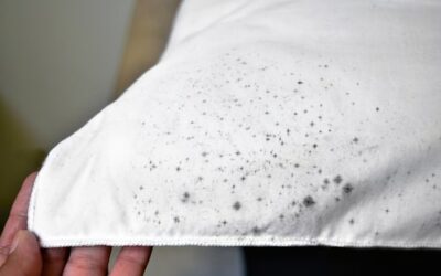 photo of mold stained fabric