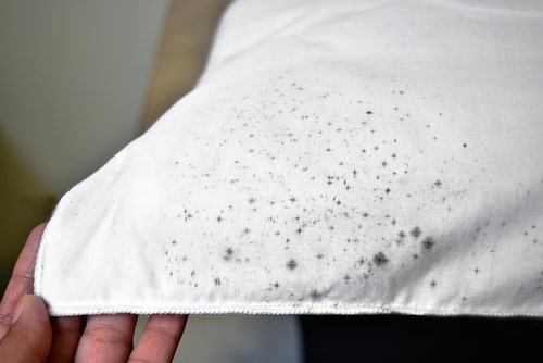 photo of mold stained fabric