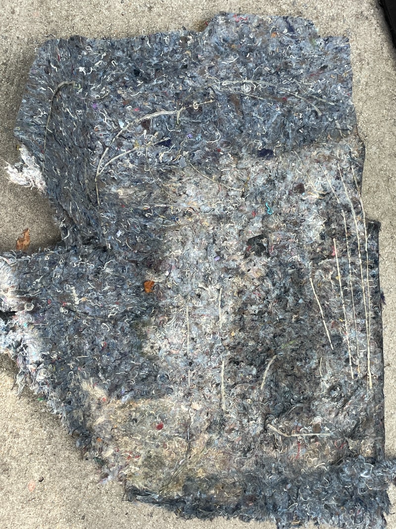 Moldy carpet padding