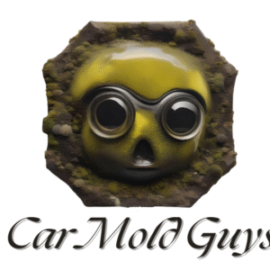 Car Mold Guys Experts Car Mold Guys Car Mold Remediation Experts