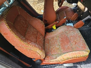 Moldy Seat