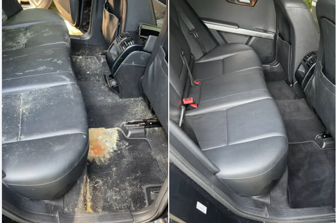 Before & after: Car mold removal, auto mildew cleanup, vehicle interior detailing from severe mold growth