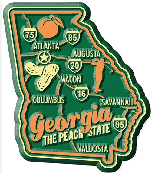 Georgia Car Mold Remediation Near Me