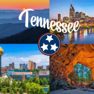 Tennessee Car Mold Remediation near me