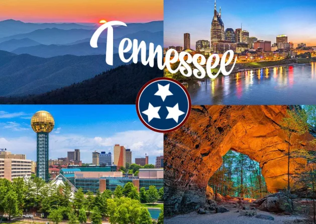 Tennessee Car Mold Remediation near me