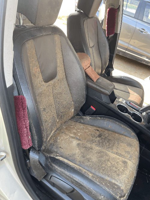 Moldy front car seat before remediation